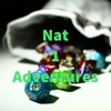 Nat 1 Adventures artwork