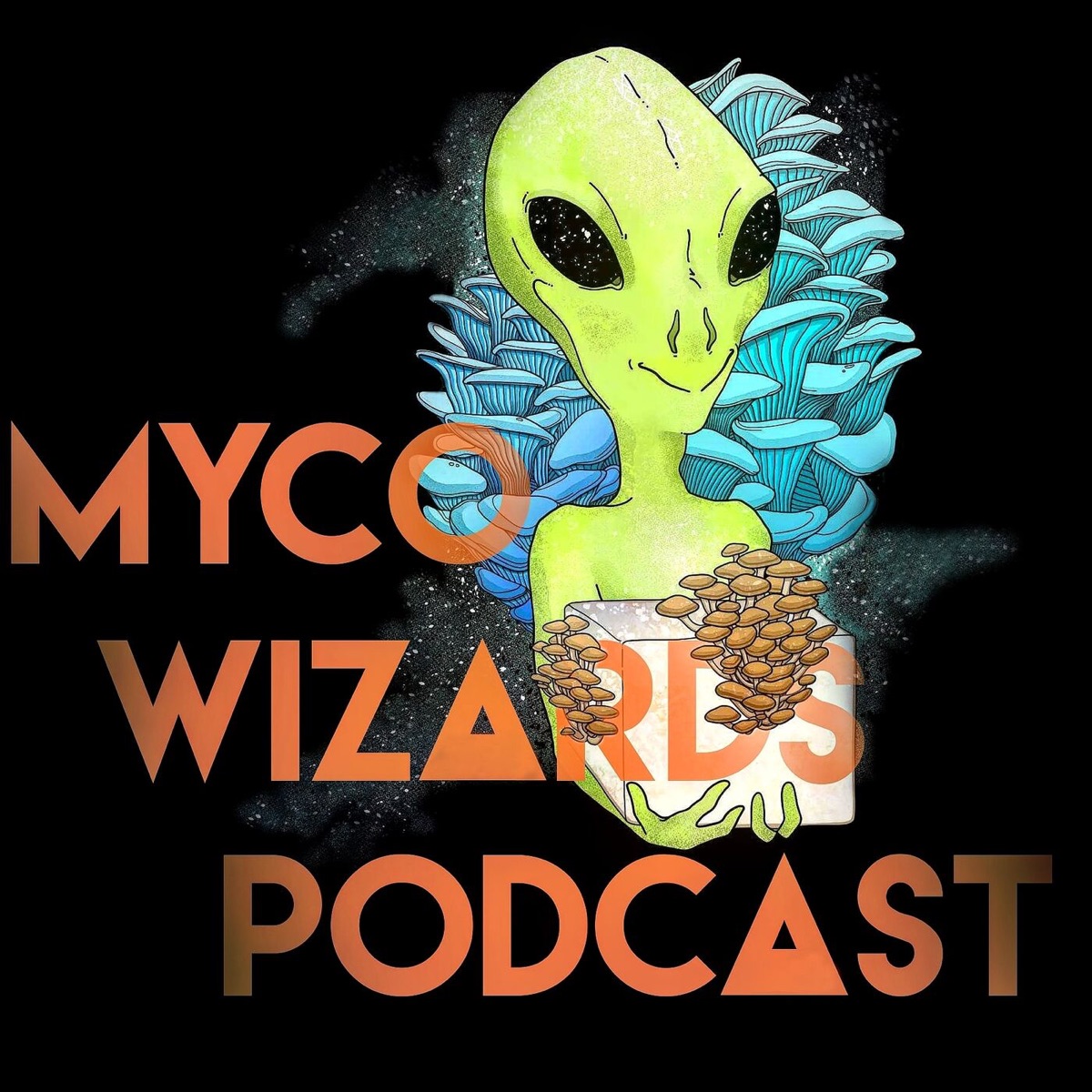 The Wizard's Corner Podcast – Podcast – Podtail