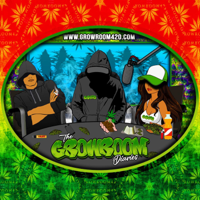 Autoflower Cannabis Strains Best For New Growers? - A Growroom420 Podcast