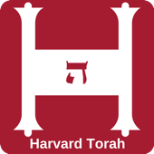 Harvard Torah - harvardhillel