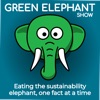 The Green Elephant Show artwork