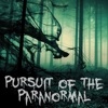 Pursuit of the Paranormal artwork