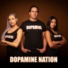 Dopamine Nation artwork