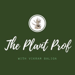 The Plant Prof