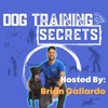 Dog Training Secrets