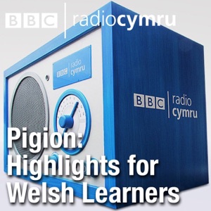 Pigion y Dysgwyr 20fed Tachwedd 2020