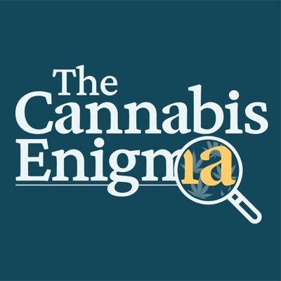 The Cannabis Enigma The Cannabis Enigma