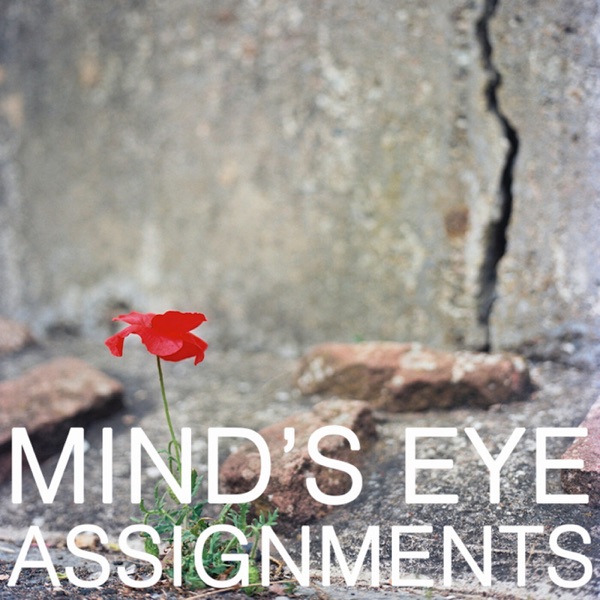 Mind's Eye Assignments Artwork