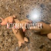 Kitchen Counter  artwork