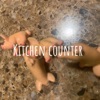 Kitchen Counter artwork