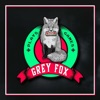 Grey Fox Plays Games artwork