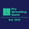 Pro Wrestling Slam! artwork