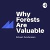 Why Forests Are Valuable By Eshaan Sundaresan artwork