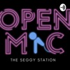 Seggy Station Podcast artwork