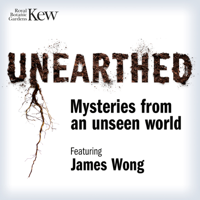Unearthed - Mysteries from an unseen world podcast