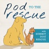 Pod to the Rescue artwork