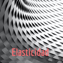 Elasticidad 