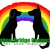 Rainbow Bridge Connection- Pet loss and grief support  artwork