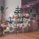 Empezamos la clase de japonés en línea