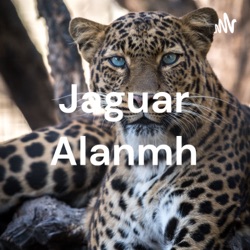 Jaguar Alanmh