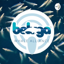 The Beluga Pod (Trailer)