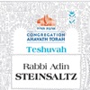 Elul WhatsApp Teshuvah Challenge with Rabbi Chaim Poupko artwork