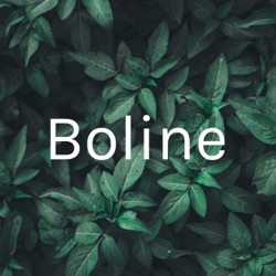 Bolines lektiepodcast