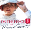 On the Fence with Monica Aksamit artwork