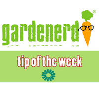 Grow Bag Gardening with Kevin Espiritu