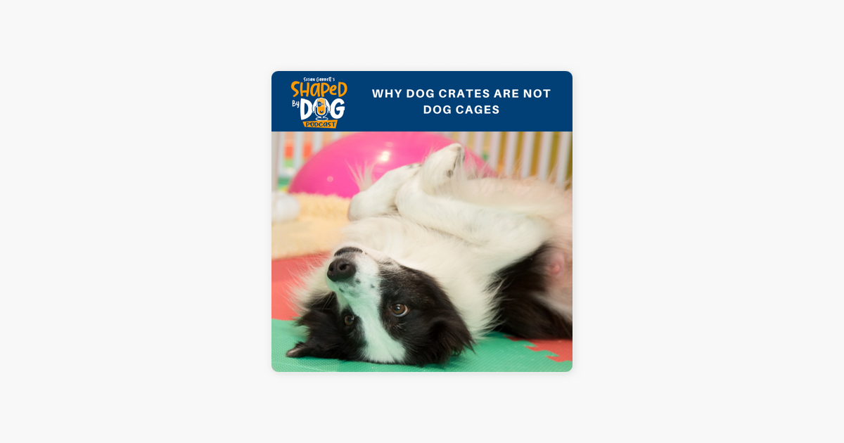 Shaped By Dog With Susan Garrett Why Dog Crates Are Not Dog Cages On Apple Podcasts