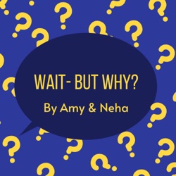 Wait- But Why? | EP:1
