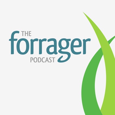 The Forrager Podcast for Cottage Food Businesses The Forrager Podcast for Cottage Food Businesses