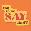 Why Do We Say That? artwork