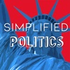 Simplified Politics  artwork