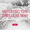 Walking the Timeless Way artwork