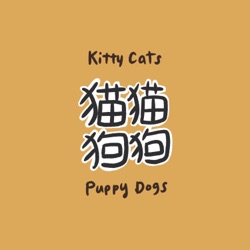 貓貓狗狗 | Kitty cats & Puppy dogs