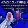 Network of Awareness artwork