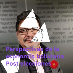 Perspectivas de la economía boliviana Post elecciones