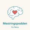 Mestringspodden