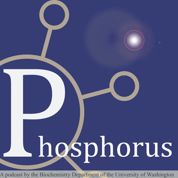 Phosphorus Artwork