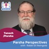 Parsha Perspectives artwork