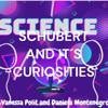 SCHUBERT AND IT´S CURIOSITIES artwork