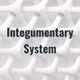 ALL ABOUT THE INTEGUMENTARY SYSTEM