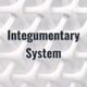 Integumentary System