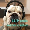 R.A.I.P. la radio analizzata in podcast