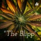 "The Blipp"