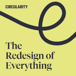 The Redesign of Everything