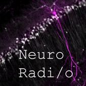 NeuroRadio - NeuroRadio