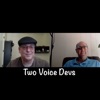 Two Voice Devs artwork