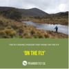 On The Fly artwork